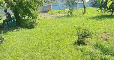 House in Pieramoha, Belarus