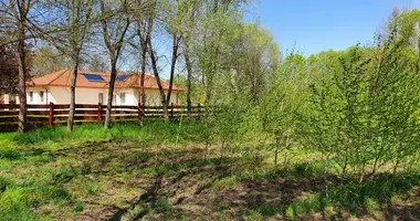 4 room house in Debreceni jaras, Hungary