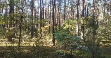 Plot of land in Otwock, Poland