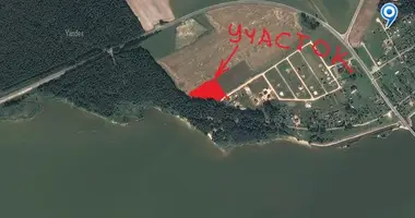 Maison dans Kryvasielski sielski Saviet, Bélarus