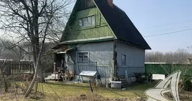 House in Matykalski sielski Saviet, Belarus