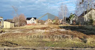 Plot of land in Brest, Belarus