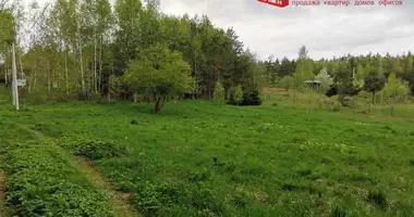 Plot of land in Karobcycy, Belarus