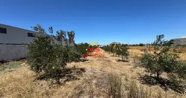 Plot of land in Novosele, Albania