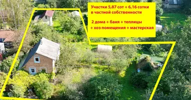 Casa en Bialarucki siel ski Saviet, Bielorrusia