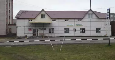 Propiedad comercial 545 m² en Lyepyel, Bielorrusia