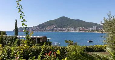 1 bedroom apartment in Montenegro