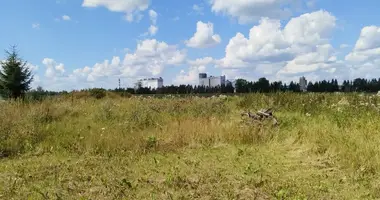 Plot of land in Gatchina, Russia