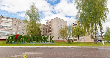 Mieszkanie 2 pokoi w Łohojsk, Białoruś