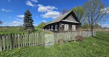 Terrain dans Usazski selski Savet, Bélarus