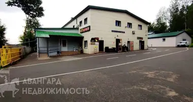 Офис 903 м² в Логойск, Беларусь