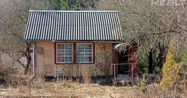 House in Lasanski sielski Saviet, Belarus