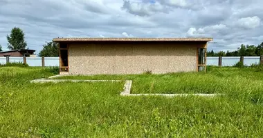 House in Dabryniouski sielski Saviet, Belarus