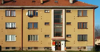 Mieszkanie 3 pokoi w Svojsice, Czechy