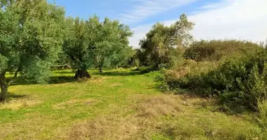 Terrain dans gerakine, Grèce