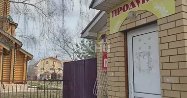 House in Strochkovo, Russia