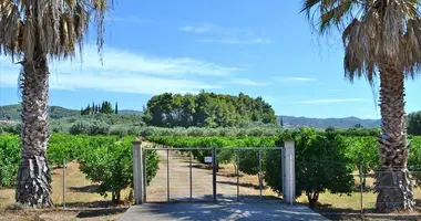 Terrain dans Pyrgos, Grèce