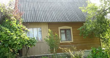 Haus in Piatryskauski siel ski Saviet, Weißrussland