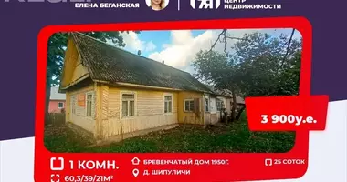 Dom w Haradzilauski sielski Saviet, Białoruś