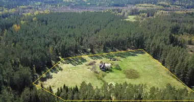 Plot of land in Kaneisiai, Lithuania