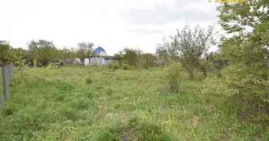 Haus in Drackauski selski Savet, Belarus
