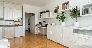 1 bedroom apartment in Prague, Czech Republic