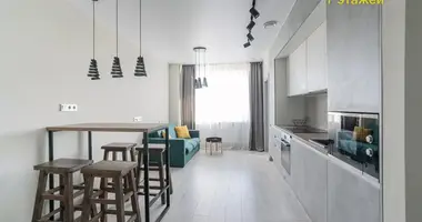 3 room apartment in Minsk, Belarus