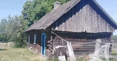 House in Oltusski sielski Saviet, Belarus
