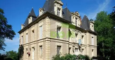 Zamek w Francja