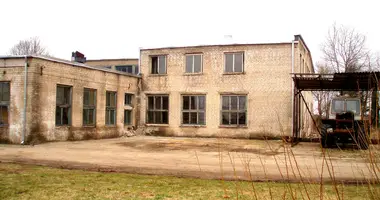 Gewerbefläche 1 896 m² in Jessen, Litauen