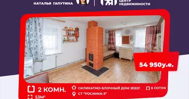 2 room house in Kalodziscanski sielski Saviet, Belarus