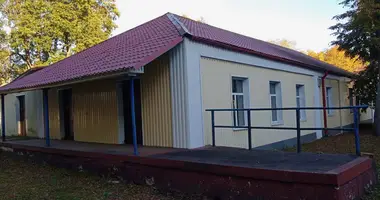 Manufacture 6 214 m² in Lyntupy, Belarus