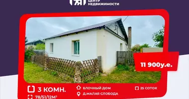 Haus in Krupski sielski Saviet, Weißrussland