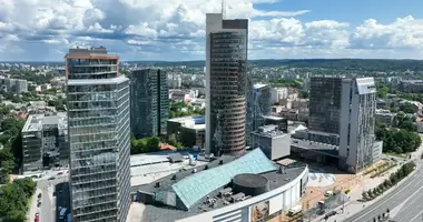 2 room apartment in Vilnius, Lithuania