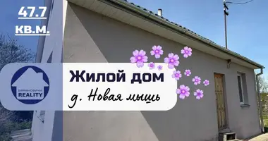House in Novaa Mys, Belarus