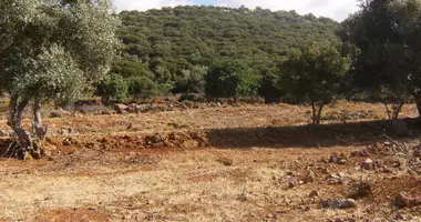 Grundstück in Malia, Griechenland