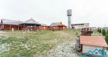 Commercial property 919 m² in Aziaryckaslabadski sielski Saviet, Belarus