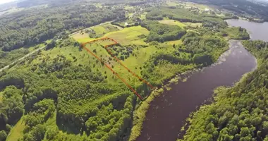 Plot of land in Pivasiunai, Lithuania