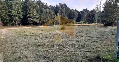 Parcela en Znamienski sielski Saviet, Belarús