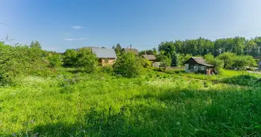 House in Aziaryckaslabadski sielski Saviet, Belarus