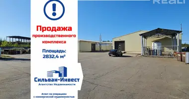 Manufacture 2 832 m² in Usyazh, Belarus