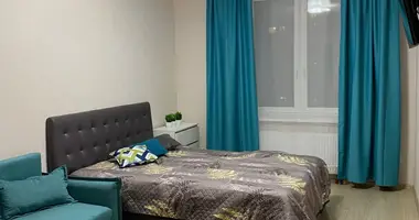 Appartement 1 chambre avec Meublesd, avec Internet, avec Réfrigérateur dans Nevsky District, Fédération de Russie