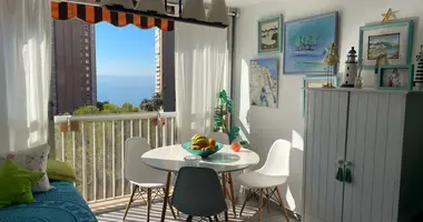 Studio apartment 1 bedroom in Benidorm, Spain