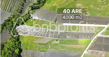 Plot of land in Pandak Bandung, Indonesia