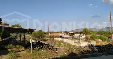 Parcela en Elassona Municipality, Grecia