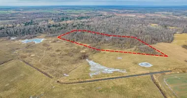 Plot of land in Rudupiai, Lithuania