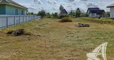 House in carnaucycki sielski Saviet, Belarus