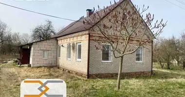 Haus in Jskavicki sielski Saviet, Weißrussland