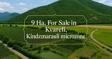 Plot of land in Kvareli, Georgia