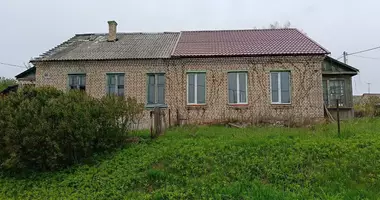 House in Novy Svierzan, Belarus